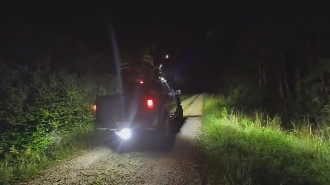 On the hunt for pythons